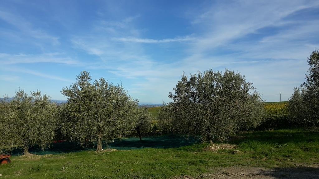 Agriturismo Podere Casa Al Vento Montepulciano Stazione Exterior foto